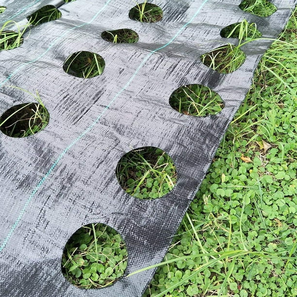 3x12ft Weed Control Fabric Planting, Do You Use Landscaping Fabric When Planting Ground Cover Plants