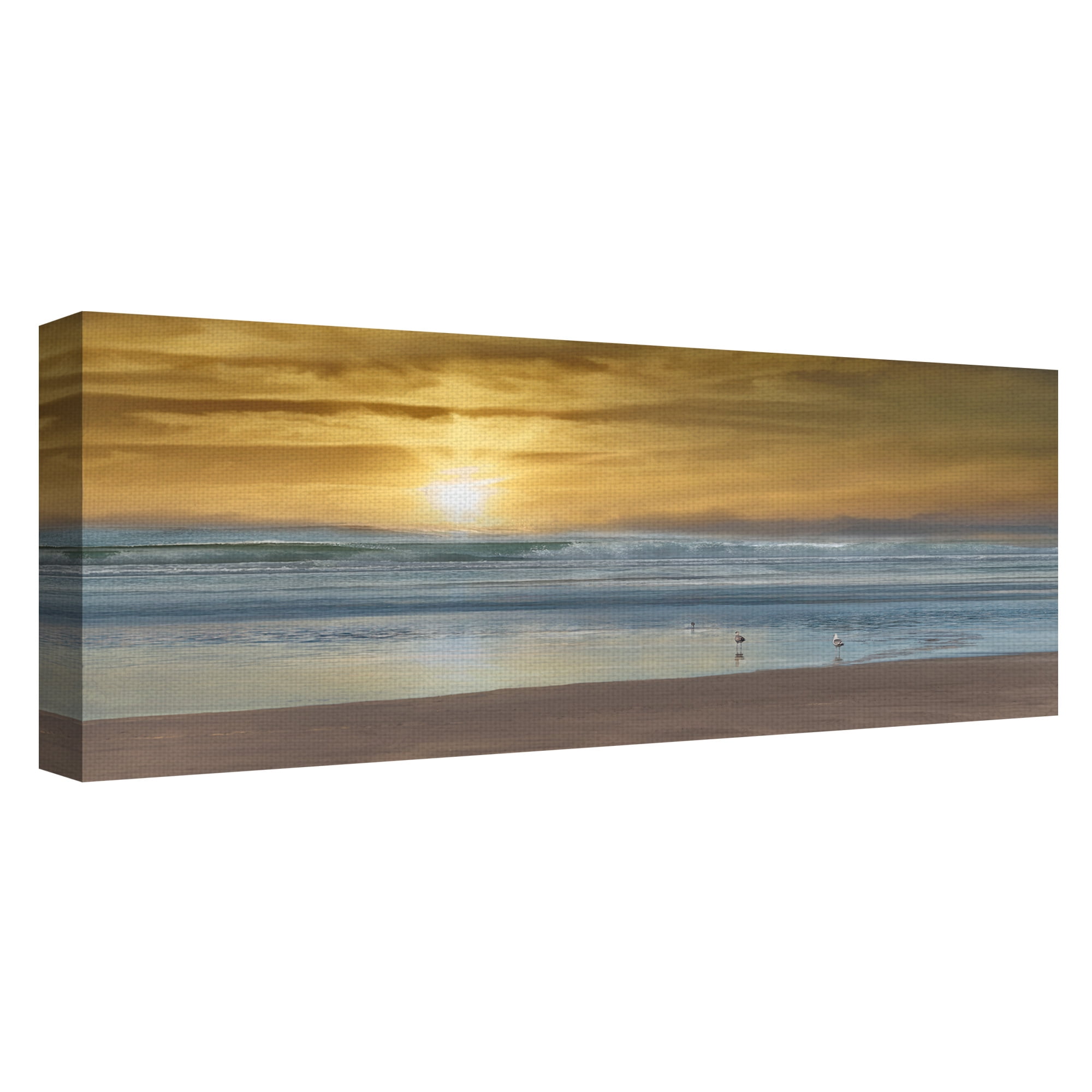 Masterpiece Art Gallery Wading Ocean Birds By Mike Caliscibetta Canvas Art Print 12" x 36"