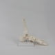 thumbnail image 4 of Modelo de Articulación del Pie, Modelo de Anatomía , Tamaño Natural, Modelo de Anatomía del Pie, Equipo de Enseñanza del Modelo de Esqueleto Humano, 4 of 5