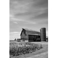 thumbnail image 2 of Robertson, Leda 13x18 Black Ornate Wood Framed with Double Matting Museum Art Print Titled - Farm Serenity II, 2 of 4