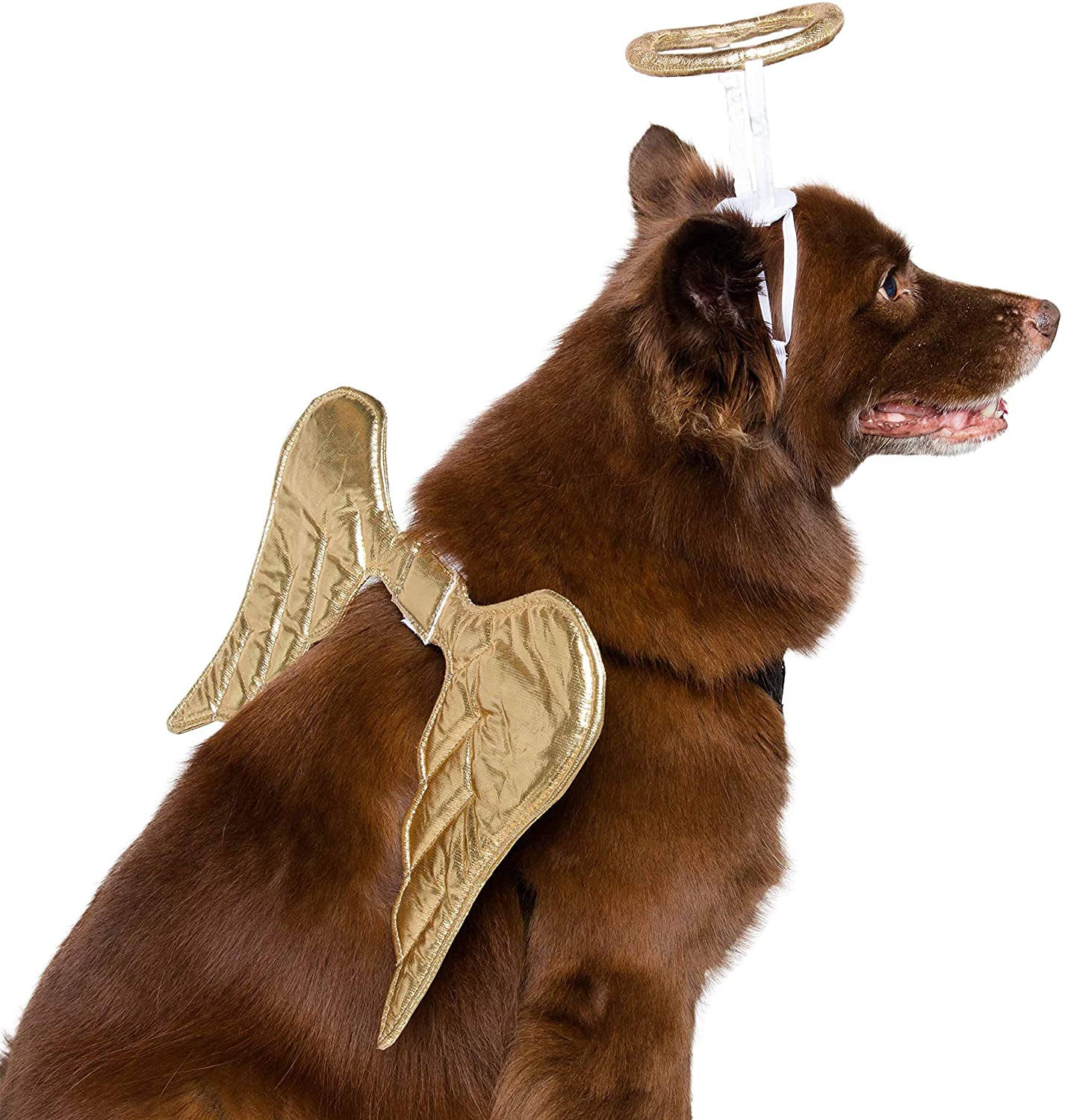 Pet Krewe Angel Dog Costume Wings & Cat Angel Costume Wings - Harness Attachment, One Size Fits All - Perfect for Halloween, Christmas Holiday, Parties, Photoshoots, Gifts for Dog & Cat Lovers