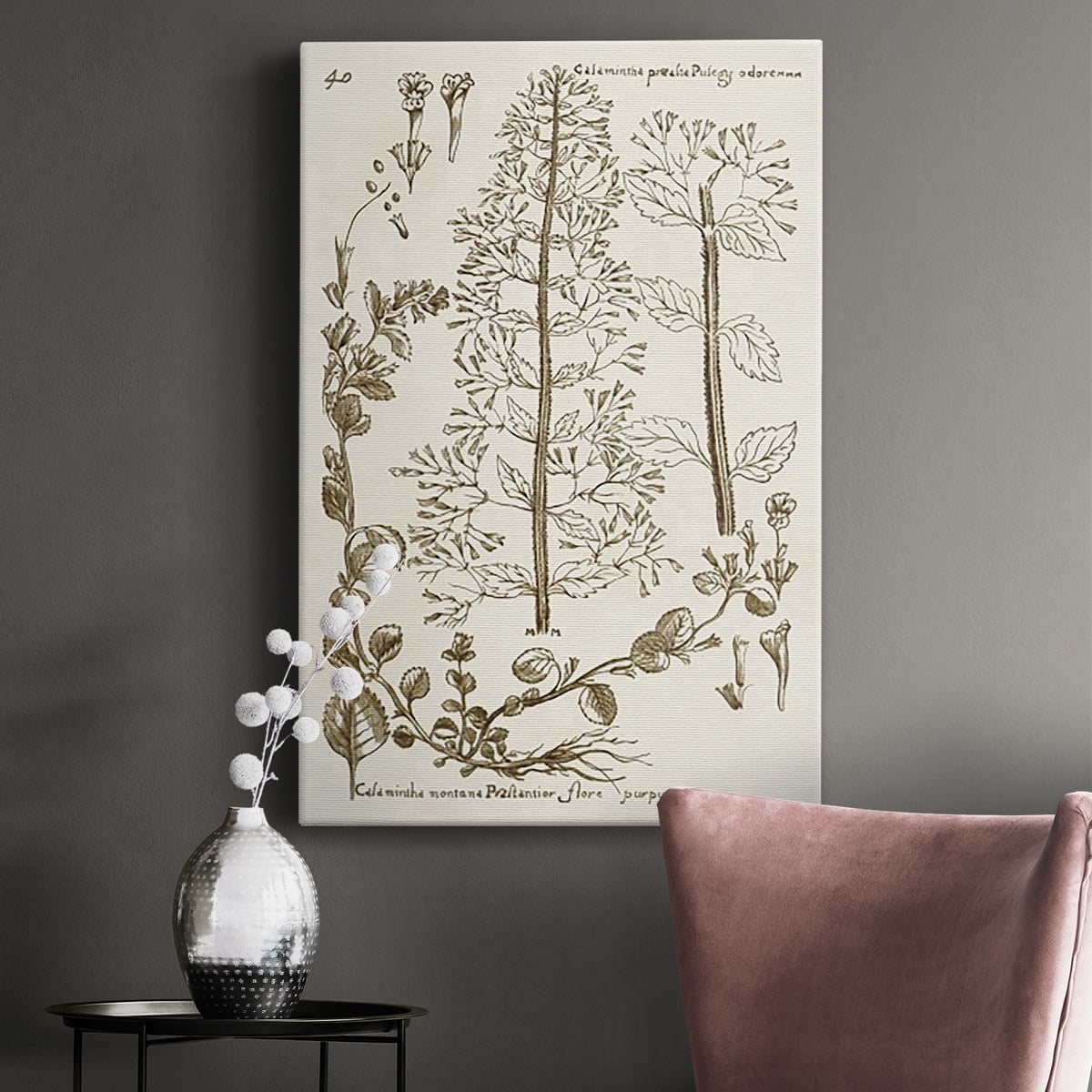 Sepia Botanical Journal V Premium Gallery Wrapped Canvas - Ready to Hang
