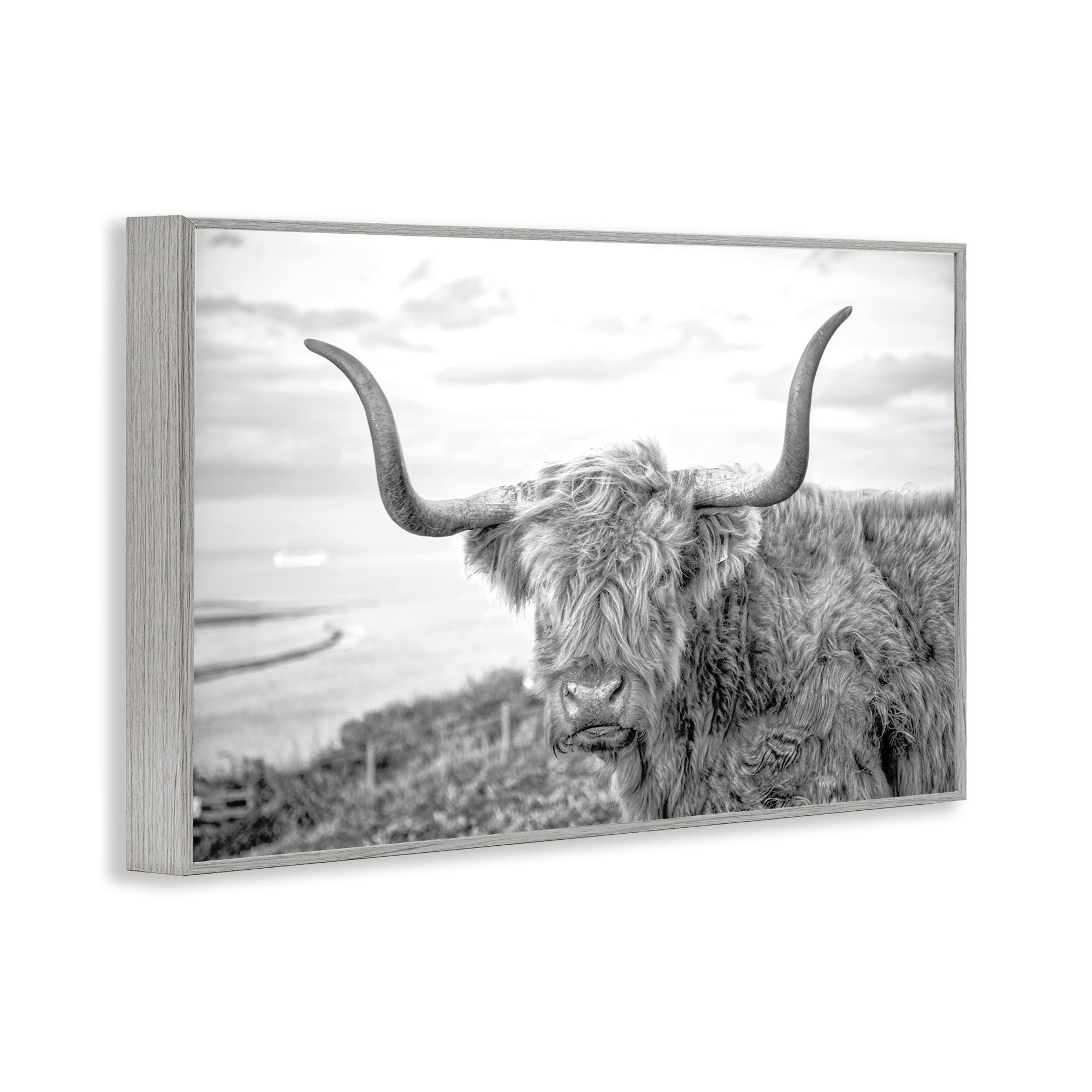 Stupell Industries Traditional Fuzzy Cattle Animals & Insects Photography Gray Framed Art Print Wall Art, 24 x 16
