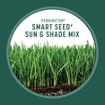 thumbnail image 5 of Pennington Smart Seed Sun & Partial Shade Grass Seed for Southern Lawns; 15 lb, 3,750 Sq. ft., New, 5 of 15