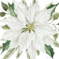 thumbnail image 2 of Jacobs, Cindy 26x26 Gold Ornate Wood Framed with Double Matting Museum Art Print Titled - White Poinsettia, 2 of 4