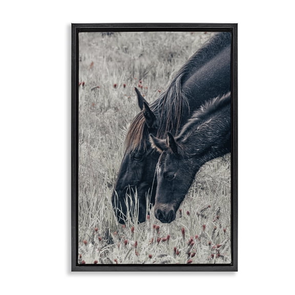 Stupell Industries New Graze Horses in Meadow Black Framed Floater Canvas Wall Art, design by Nathan Larson