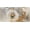 Animal Butterfly Dandelion White, variant on Designs of Sunset Castle Halloween Bat Novelty License Plate with Front Car Plate, Aluminum Metal, 4-Hole, 6 x 12 Inch