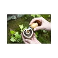 thumbnail image 3 of Kikkerland Mushroom Tool, 3 of 5