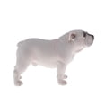 thumbnail image 4 of Figura de animales de juguete Yotijar Determinado Del Juguete La Educación, 4 of 6