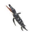 thumbnail image 2 of POINTERTECK Educational Plastic Simulated Dinosaur Model Kids Children Lifelike Biological Toy Ornament Gift, 2 of 6