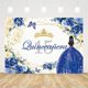thumbnail image 2 of Fondo de quinceañera para el 15.º cumpleaños de una dulce niña, fiesta de mis quince años, corona floral con purpurina real, pancarta de mariposas, fondo para fotografía, accesorios para fotos, 2 of 4