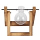 thumbnail image 2 of Terrario de Plantas Con Soporte de madera Ccdes Jarrón de vidrio Maceta Decorativa Multiusos para Plantas, 2 of 8