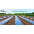 Biodegradable Agricultural Plasticulture Black Plastic Mulch