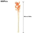 thumbnail image 2 of Tutuviw Orange Bunny Tails Dried Flowers, 16inch Natural Dried Grass, Bunny Tails Dried Flowers for Wedding, Home, Rustic Party, Baby Shower, Christmas Decorations (60 Pcs), 2 of 7