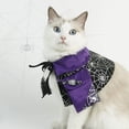 thumbnail image 2 of Leeye Halloween Pet Witch Set, Spider Web Hat and Cape for Cats Dogs Small Medium Pets Party Cosplay, Size L, 0.09 lb, 2 of 6