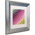 thumbnail image 2 of Trademark Fine Art "Satin II" Canvas Art by Color Bakery White Matte, Silver Frame, 2 of 4