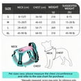 thumbnail image 3 of Colour-Block Dog Leash and Harness Set, Stylish Patterned Walking Gear, Adjustable Soft Mesh Vest for Dogs, Secure Buckle Closure, Lightweight Design(A, L), 3 of 3