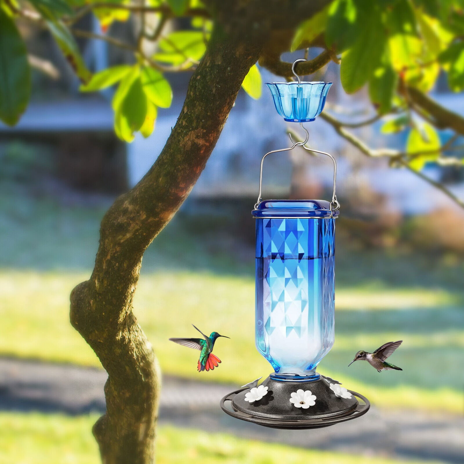 Hanging Hummingbird Feeder Outdoor Bird Feeder with Blue Top Attracts Birds Easy Fill and Clean for Garden Yard Balcony Patio Use Transparent Design Durable Plastic Material