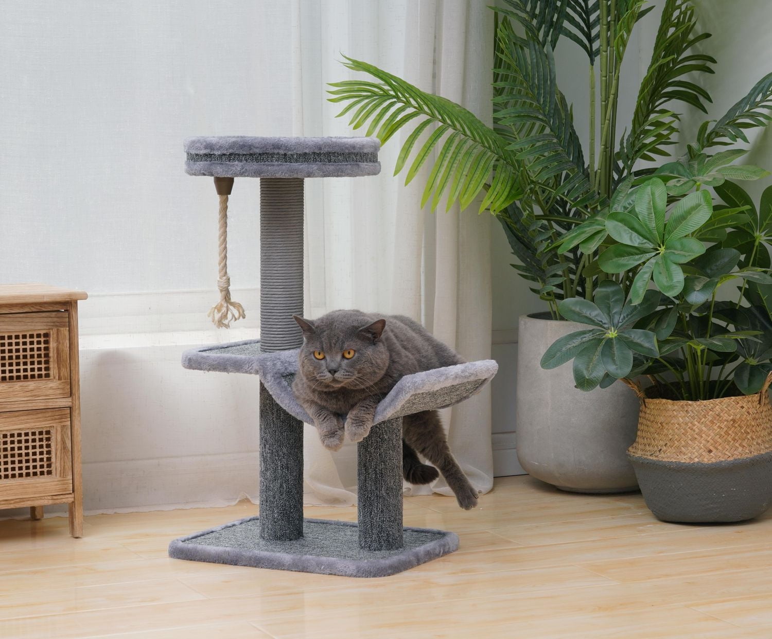 Catry Grimbit Small Minimalistic Carpet Cat Tree