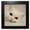 thumbnail image 1 of Cat White Kitty Pet Animal Relax Black Square Frame Picture Wall Tabletop, 1 of 3