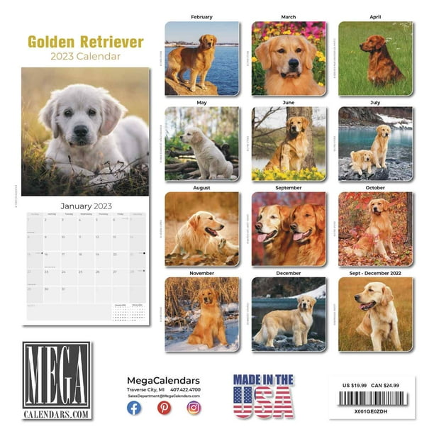 2022 2023 Golden Retriever Calendar - Dog Breed Monthly Wall Calendar - 12  x 24 Open - Thick No-Bleed Paper - Giftable - Academic Teacher's Planner  Calendar Organizing & Planning - Made in USA - Walmart.com
