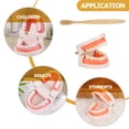 thumbnail image 2 of 1 Ensemble Modèle de Soin des Dents Modèle de Brossage des Dents Modèle Éducatif pour Enfants, 2 of 9