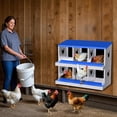 thumbnail image 5 of EastVita 6 Holes Chicken Nest Box Chicken Nesting Boxes for Laying Eggs with Ventilation Holes and AntiPeck Design Space-Saving Design Nesting Box Suitable for Hens and Ducks Blue, 5 of 7