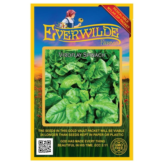 Everwilde Farms - 500 Viroflay Spinach Seeds - Gold Vault Jumbo Bulk Seed Packet