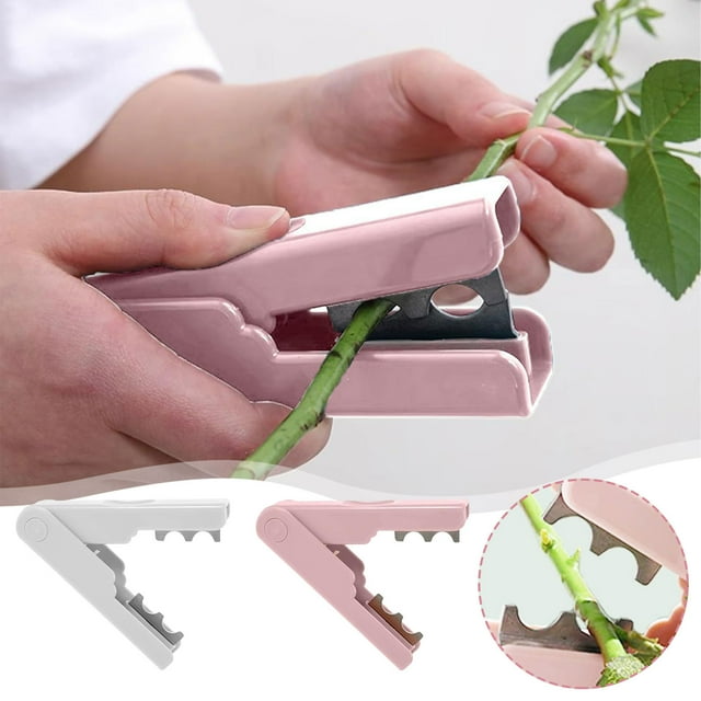 Pinzas florales para eliminar espinas de Rose Spin para eliminar espinas de hojas y tallos secos