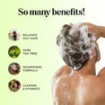 thumbnail image 2 of Tea Tree Shampoo and Conditioner Set - Sulfate Free Clarifying Shampoo and Conditioner for Dry Damaged Hair Care with Australian Tea Tree Oil for Hair - Complete Dry Scalp Treatment for Men and Women, 2 of 10