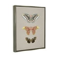 thumbnail image 3 of Stupell Industries Vintage Moth Specimens Animals & Insects Painting Gray Floater Framed Art Print Wall Art, 17 x 21, 3 of 9