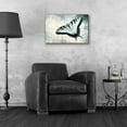thumbnail image 4 of Epic Art 'Teal Butterfly II' by Lori Deiter Acrylic Glass Wall Art, 24"x16", 4 of 8