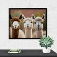 thumbnail image 5 of Diamond Art Kits for Adults, Cute Alpaca in DazeDiamond Painting Kits for Beginners, Frameless Round 5D Full Drill Diamonds Art Pictures Gem Art Crafts Home Decor Gifts, 5 of 8
