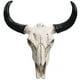 thumbnail image 1 of Cráneo de vaca de cuerno largo, animal, para colgar en la pared, regalos creativos de Halloween, artesanías, adornos, 1 of 4