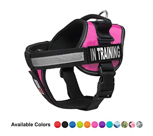 in training dog vest