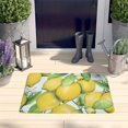 thumbnail image 2 of Yellow Lemon Fruit Flowers LightBlue Flannel Non Slip Door Rugs,Washable Door Mats Indoor,Decorative Door Mats,Dirt-Resistant and Absorbent Doormat for Entrance,Bedroom,Kitchen,Bathroom,31.5"x17", 2 of 4