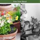 thumbnail image 5 of Deep Root Tree Waterer Tree Root Irrigation Garden Watering, 5 of 5