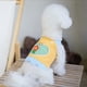 thumbnail image 5 of Arnés de chaleco para perro con juego de correa, correas de parche de tela bordadas, ropa para cachorros de perros pequeños, malla suave y transpirable (con cuerda de remolque), 5 of 6