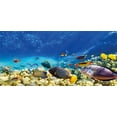 thumbnail image 4 of Fish Piggy Bank, Underwater with Fish and Source of Oxygen Coral Aquatic Liquid Culture Scenery, Ceramic Coin Bank Money Box for Cash Saving, 3.6" X 3.2", Multicolor, by Ambesonne, 4 of 4