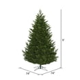 thumbnail image 3 of Vickerman 9' x 67" Eagle Fraser Full Artificial Christmas Tree, Unlit, 3 of 4
