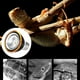 thumbnail image 5 of Lámpara de terre de lámpara para Serpiente 10.0 Yinane luz de reptil uvb, 5 of 8