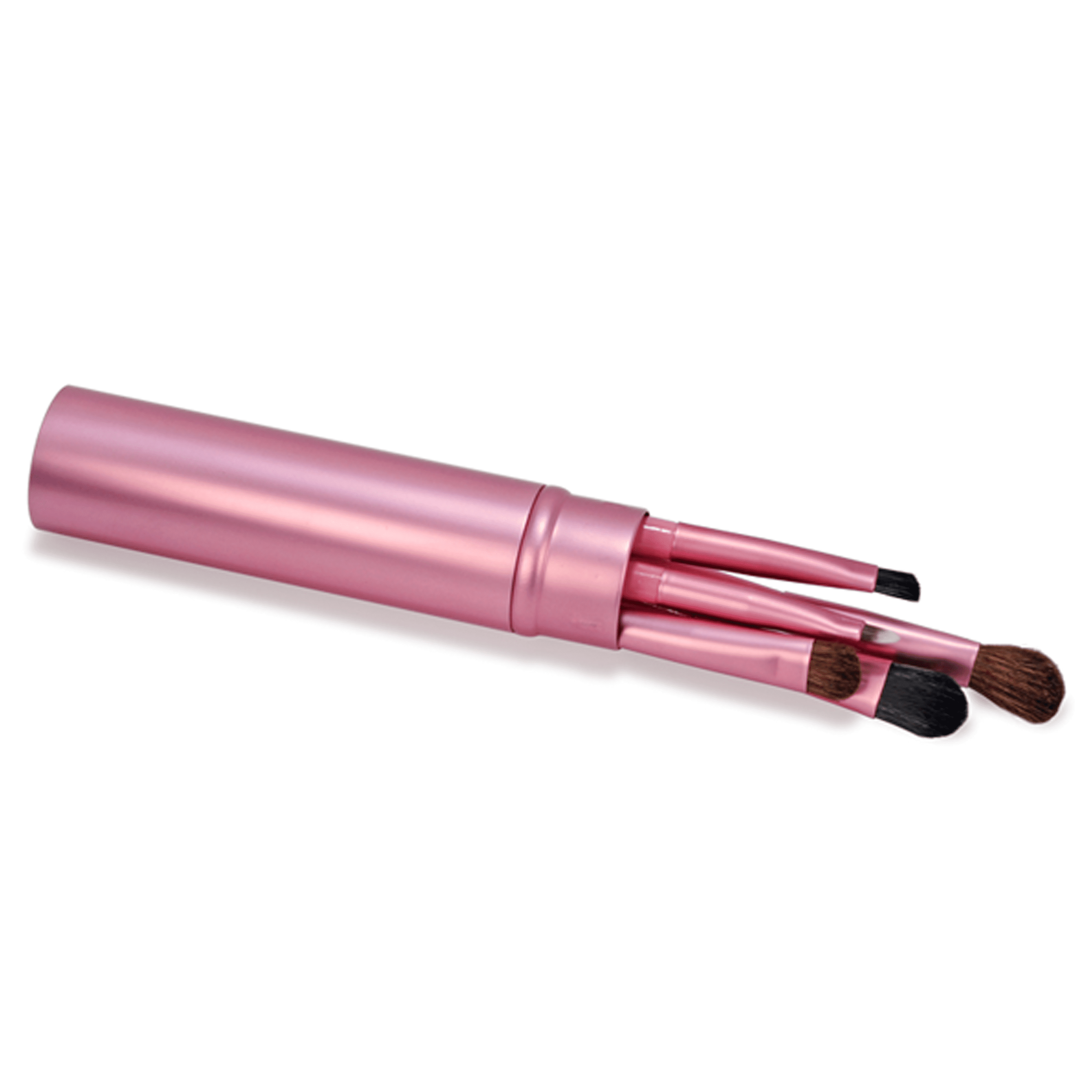 5 PIECE PROFESSIONAL EYESHADOW BRUSH SET Walmart Canada