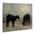 thumbnail image 4 of Stupell Industries Black Sheep Grazing Animals & Insects Photography Gallery Wrapped Canvas Art Print Wall Art, 40 x 30, 4 of 8