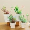 thumbnail image 4 of Mini suculentas de simulación de flores falsas en maceta, decoración creativa de moda, plantas verdes artificiales, 4 Uds., 4 of 5