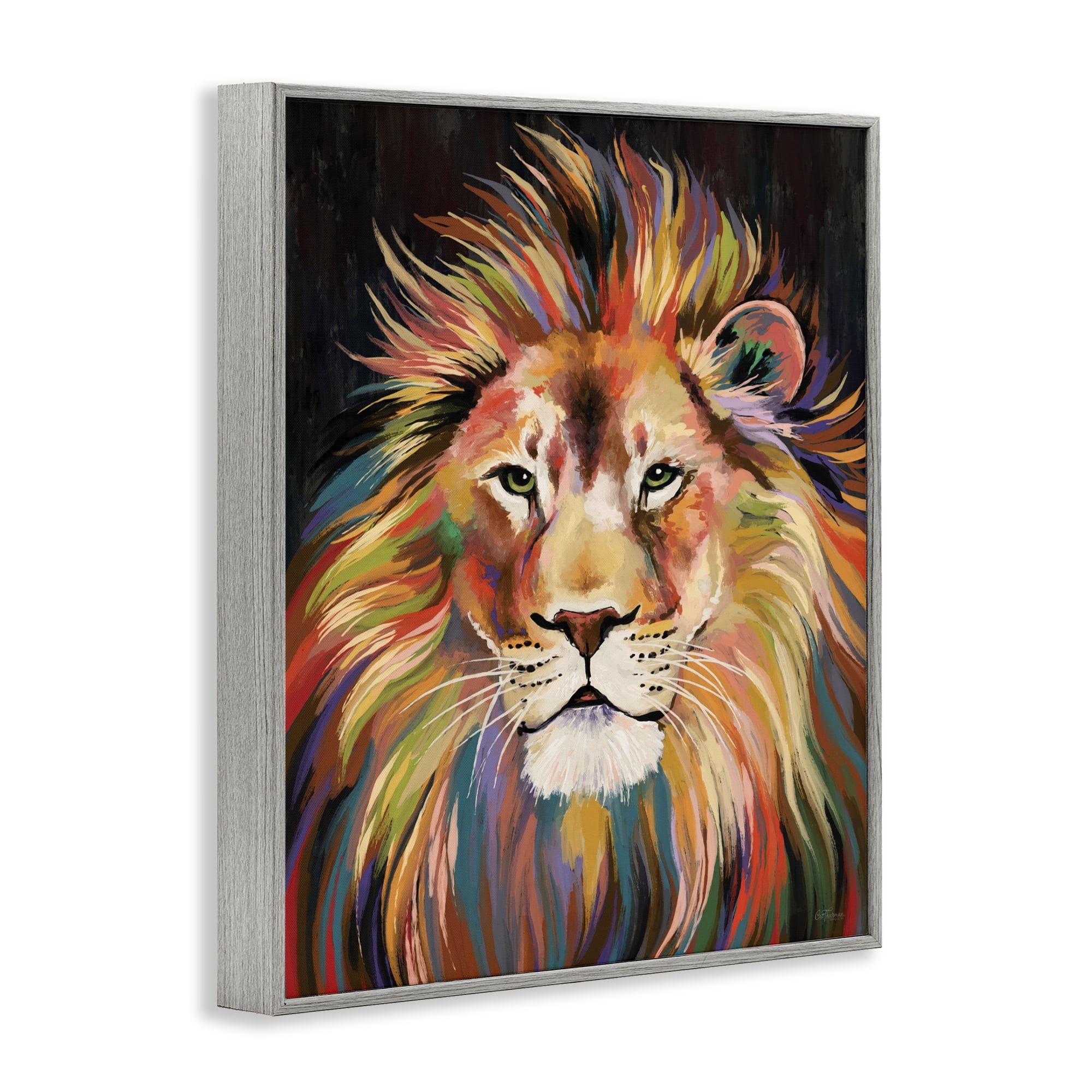 Stupell Industries Vibrant Majestic Rainbow Lion Gray Framed Giclee Art, design by Cat Thurman Designs