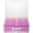 Pink Gradient, variant on Transparent 4" x 6" Photo Cases and Clear Craft Keeper with Handle, 16 Inner Photo Organizers & Photo Storage Box, Plastic Photo Storage Containers (Color - 2Pack)