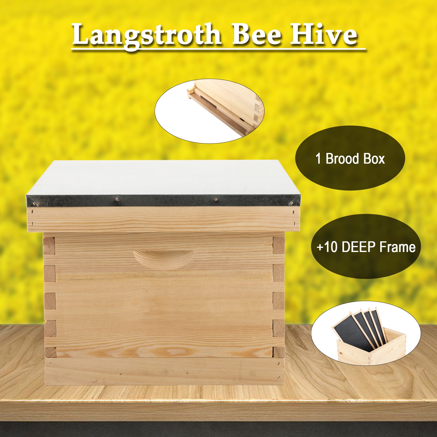 10 Deep Frame w/ 1 Brood Box/Bee Hive Frame/Beehive Frames