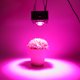 thumbnail image 3 of Luz LED COB para crecimiento de plantas de espectro completo para vegetales de invernadero, 110 V/220 V, enchufe de EE. UU./UE, 300 W, 3 of 8