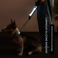 thumbnail image 3 of LED Dog Collar,Makes Your Dog Visible, Safe & Seen,Green, 3 of 15