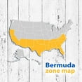 Bermuda 500 Sq Ft Sod Pallet Walmart bermuda-500-sq-ft-sod-pallet-walmart